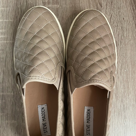 Steve Madden Ecentrcq Sneaker - Picture 2 of 3